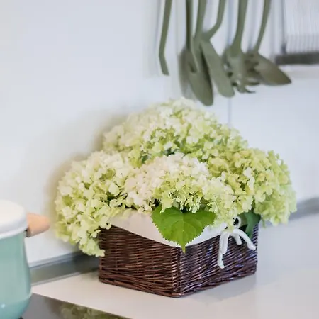 Elmenykoezpont Velence