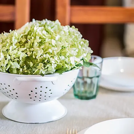 Lägenhet Elmenykoezpont *