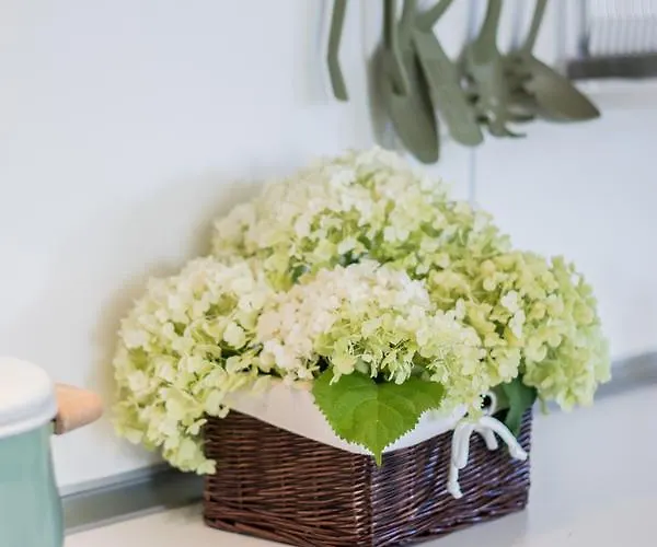 Elmenykoezpont Velence